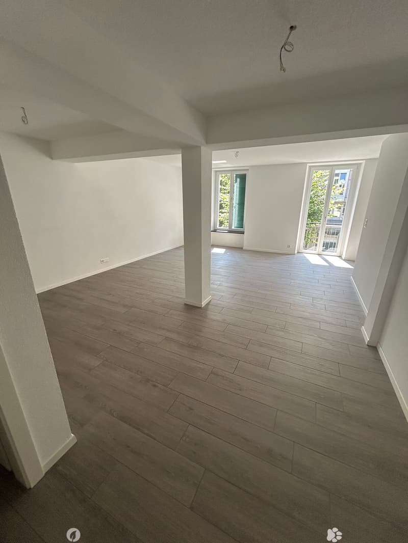 Charmant appartement de 1,5 pièce au cœur de Bienne (7)