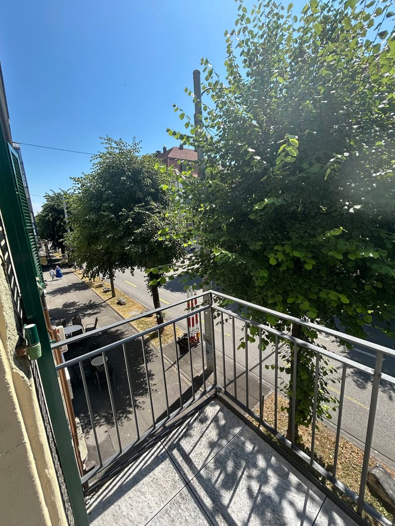 Charmant appartement de 1,5 pièce au cœur de Bienne (10)