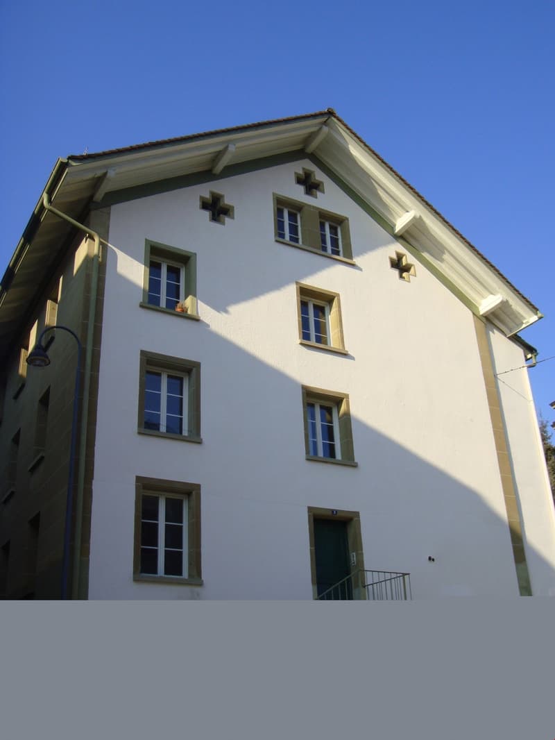 Ampio appartamento di 3 locali al piano rialzato nella città alta! (6)