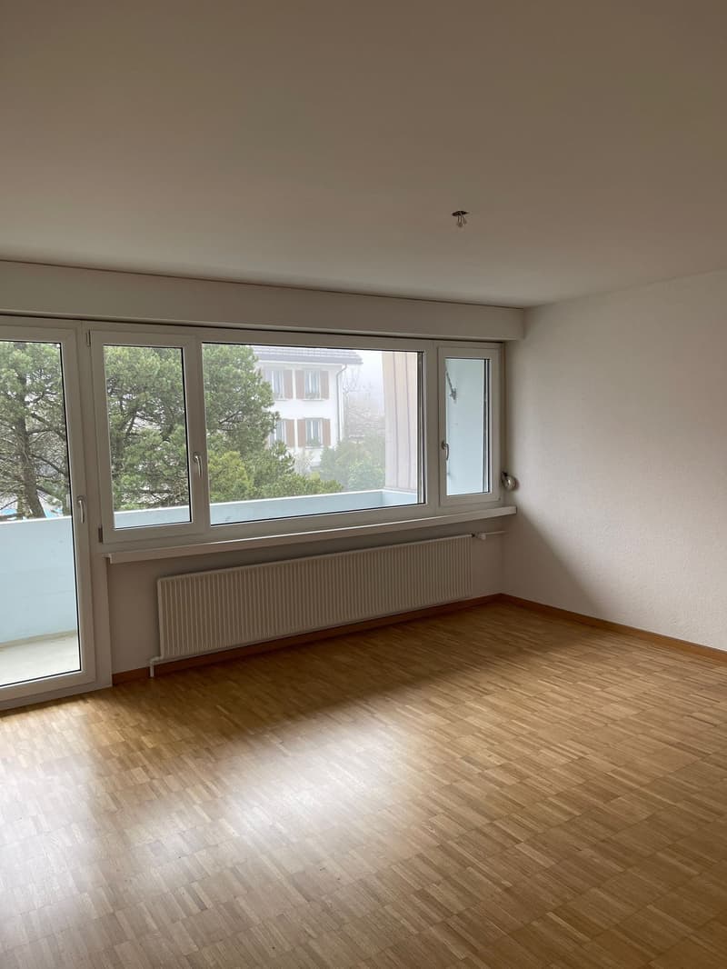 empty room, balcony, windows, sliding door, wooden floor, white wall, radiator
