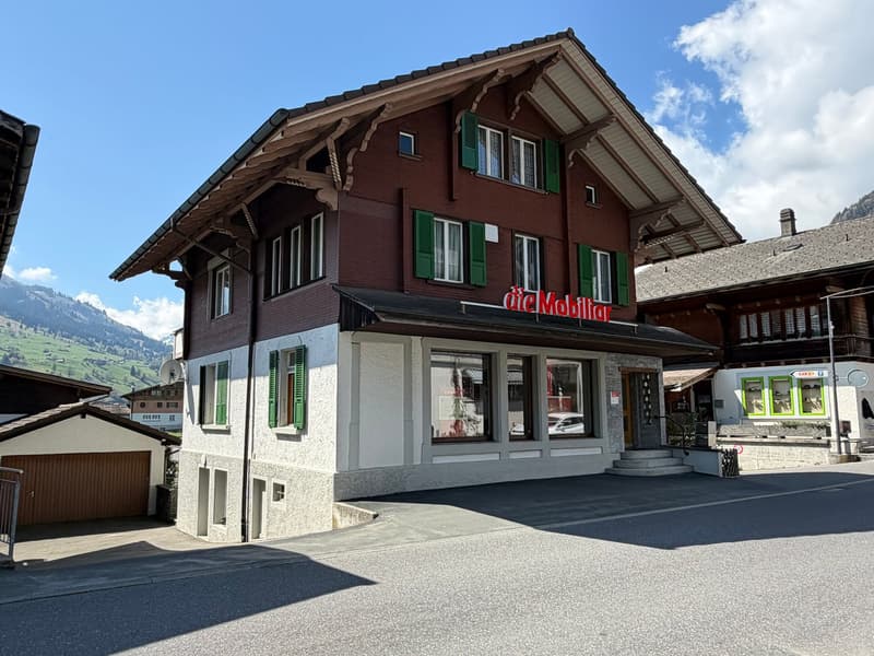 Casa residenziale e commerciale con edificio accessorio spazioso (1)