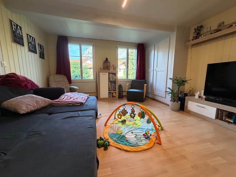 grosszügige 5.5-Zimmerwohnung mit Gartenmitbenutzung (5)