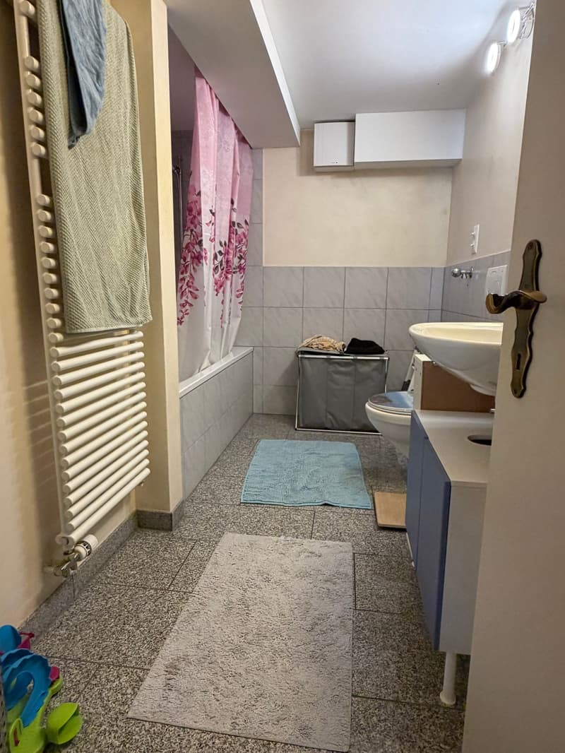 grosszügige 5.5-Zimmerwohnung mit Gartenmitbenutzung (11)