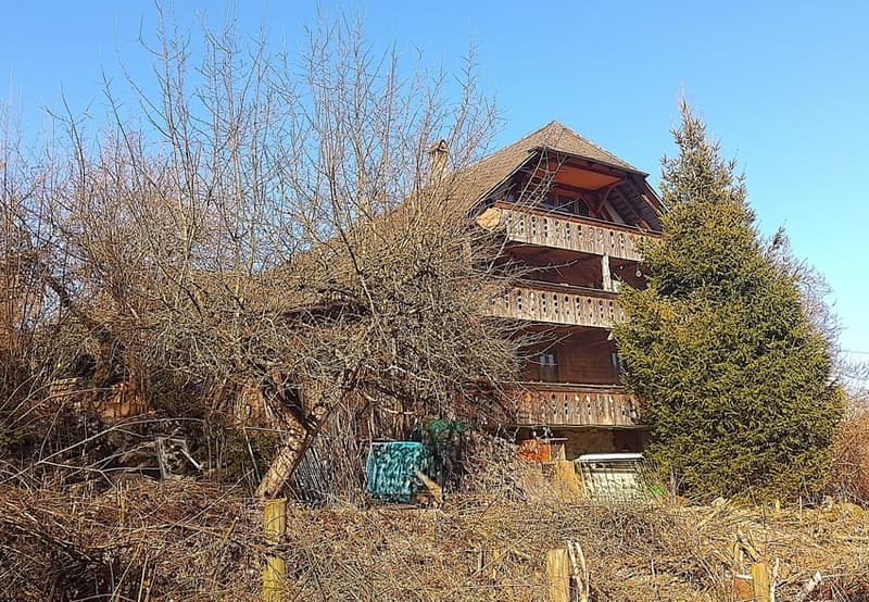 Farmhouse with horse stable (1)
