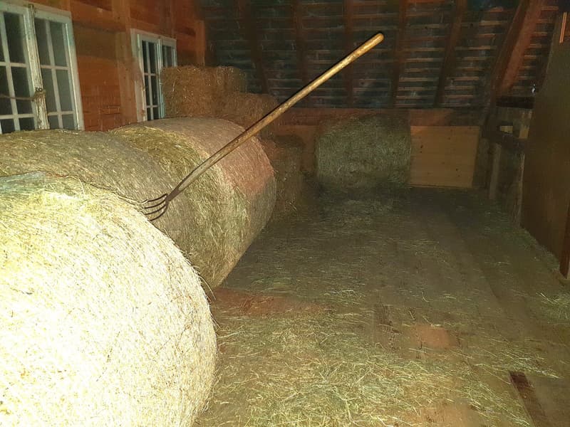 Farmhouse with horse stable (5)