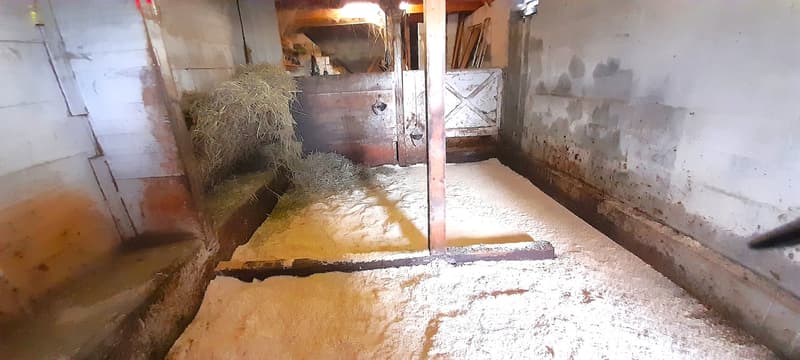 Farmhouse with horse stable (4)