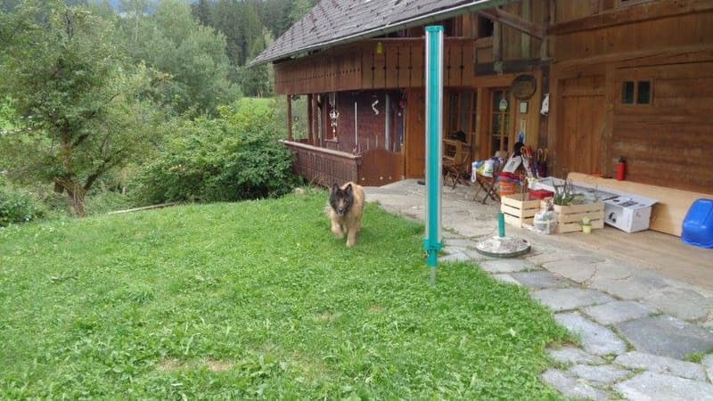 Farmhouse with horse stable (2)