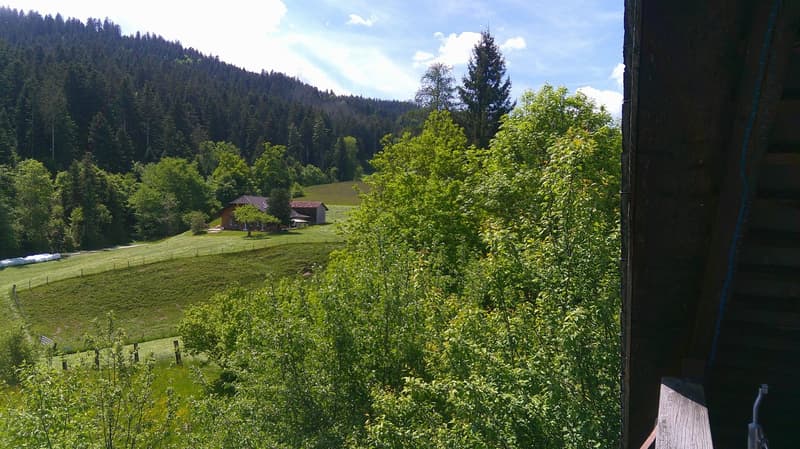 Farmhouse with horse stable (12)