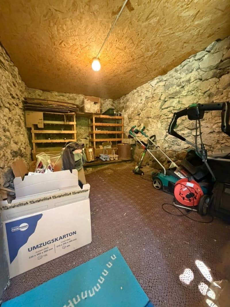 Charmant appartement 2.5 pièces avec vue sur le lac à Krattigen (10)