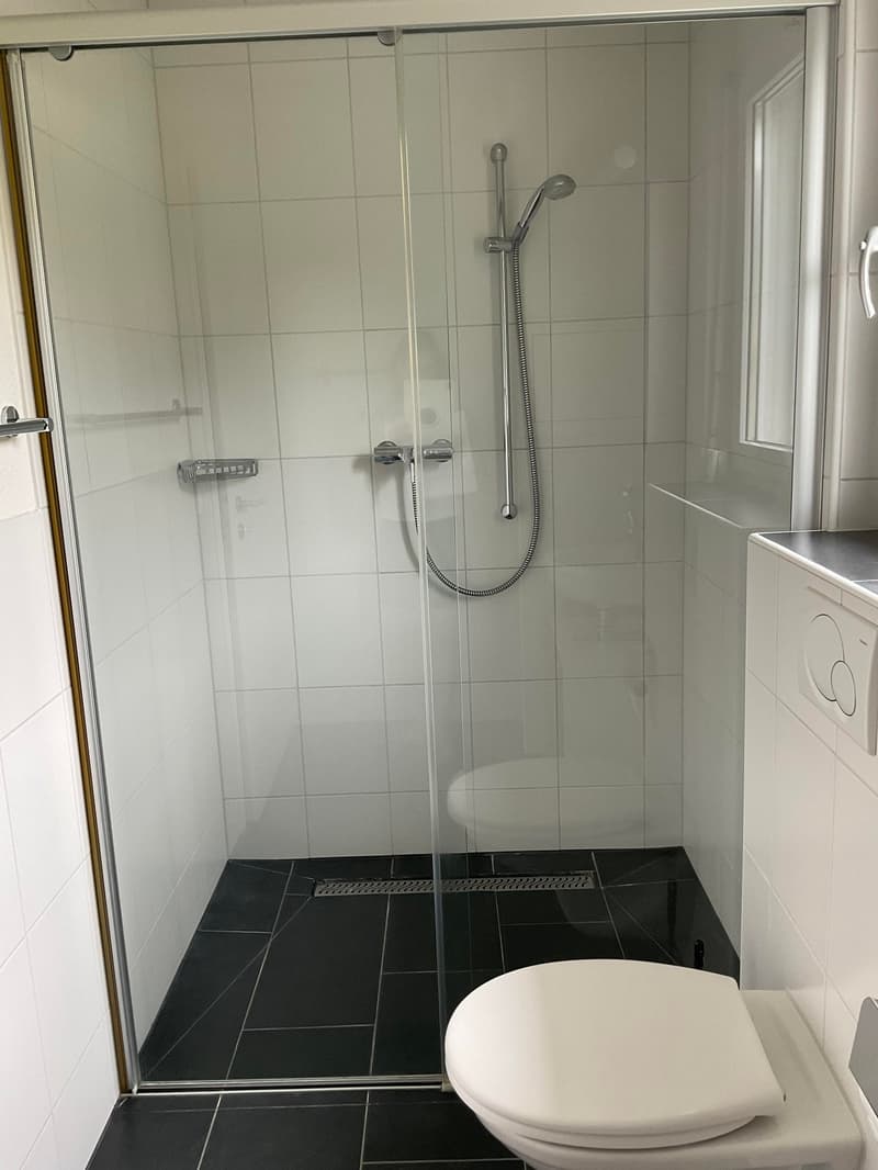 Stilvolles 5½-Zimmer-Einfamilienhaus mit Garten in Hubersdorf (15)