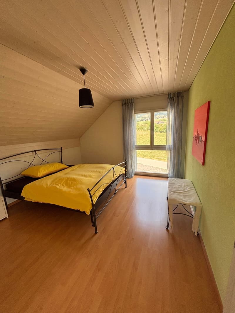 Stilvolles 5½-Zimmer-Einfamilienhaus mit Garten in Hubersdorf (4)