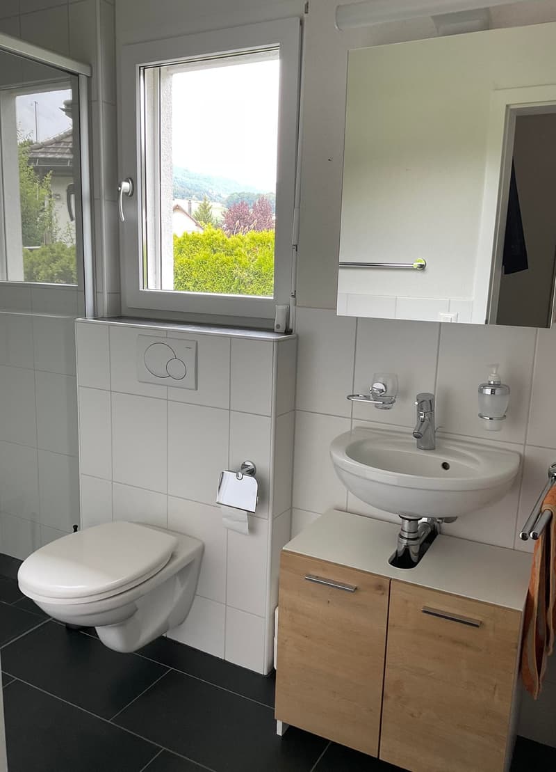 Stilvolles 5½-Zimmer-Einfamilienhaus mit Garten in Hubersdorf (14)