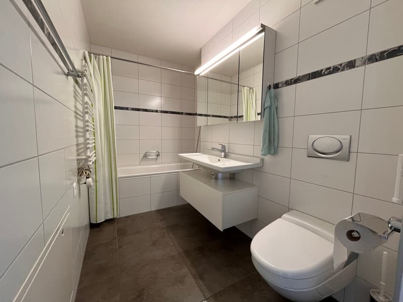 grosse 4.5-Zimmer Wohnung mit div. Nebenräumen an zentraler Lage (11)