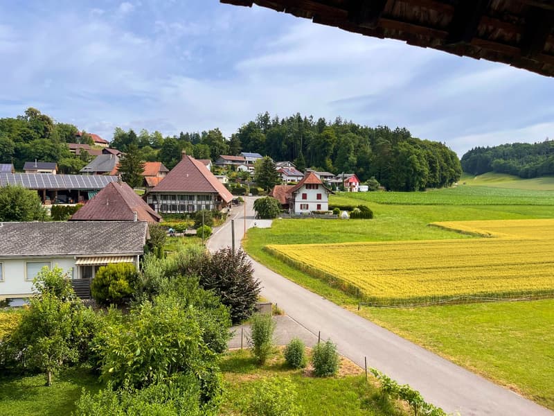 grosses Wohnhaus / eh. Restaurant mit Spycher (27)