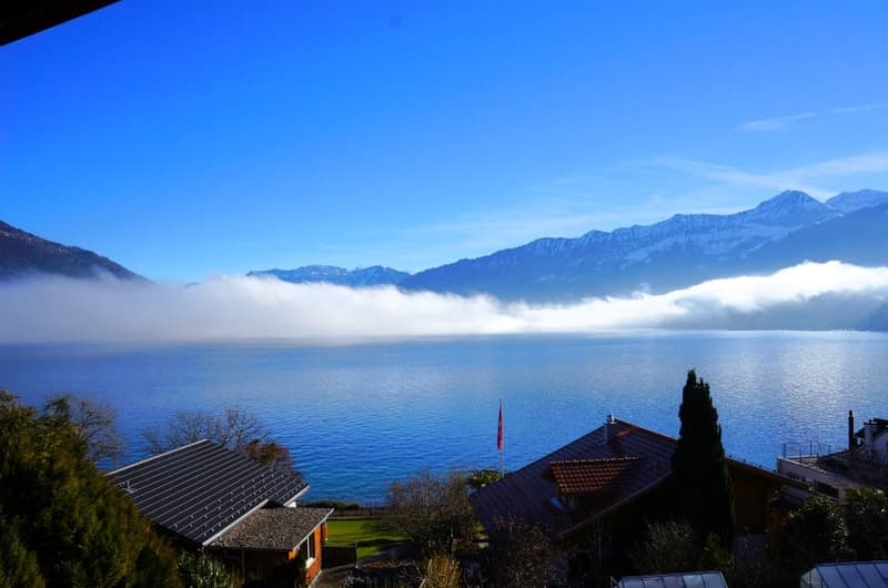 Traumhaftes Wohnen am Thunersee (20)
