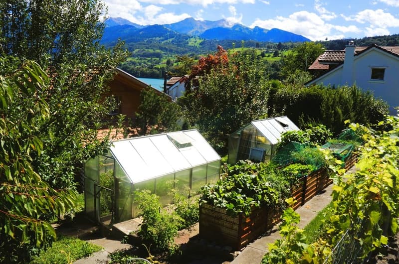 Gemüsegarten