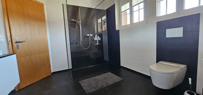 6.5-Zimmer-Einfamilienhaus mit 700m2 Umschwung (10)