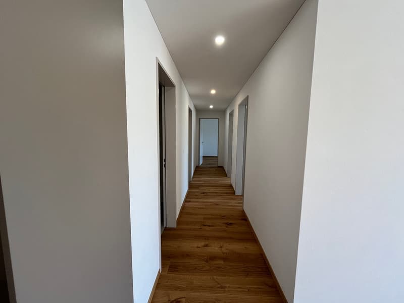 Moderne 4.5-Zimmer-Neubauwohnung mit grosser Terrasse (7)