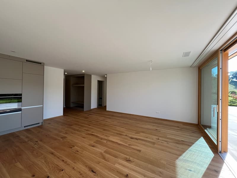 Moderne 4.5-Zimmer-Neubauwohnung mit grosser Terrasse (4)