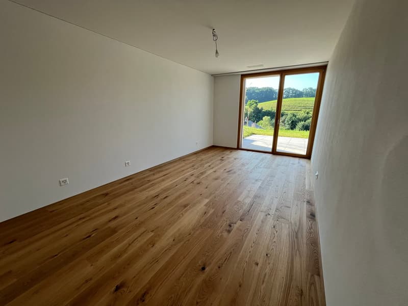 Moderne 4.5-Zimmer-Neubauwohnung mit grosser Terrasse (10)