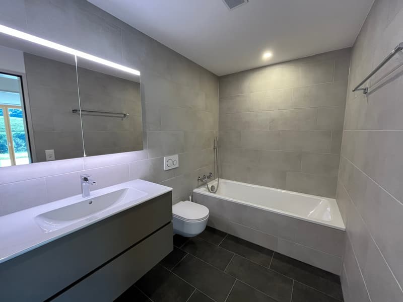 Moderne 4.5-Zimmer-Neubauwohnung mit grosser Terrasse (5)