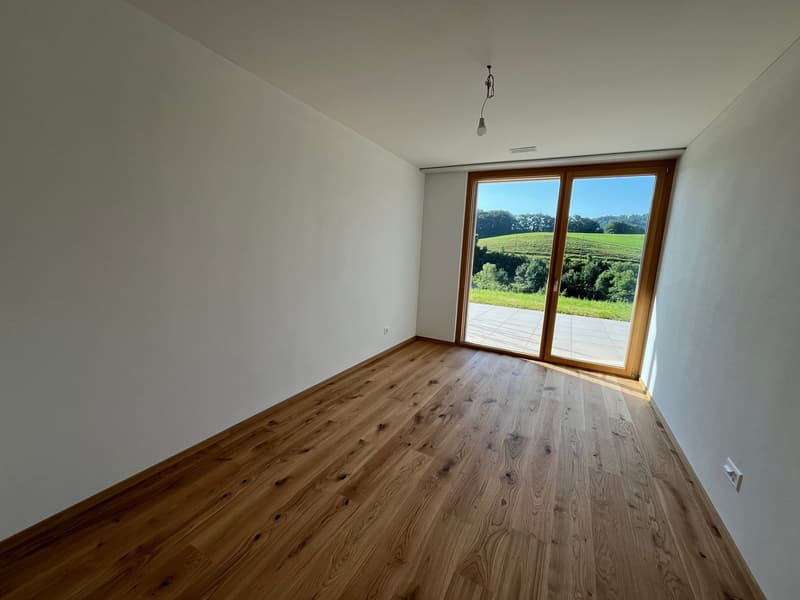 Moderne 4.5-Zimmer-Neubauwohnung mit grosser Terrasse (9)