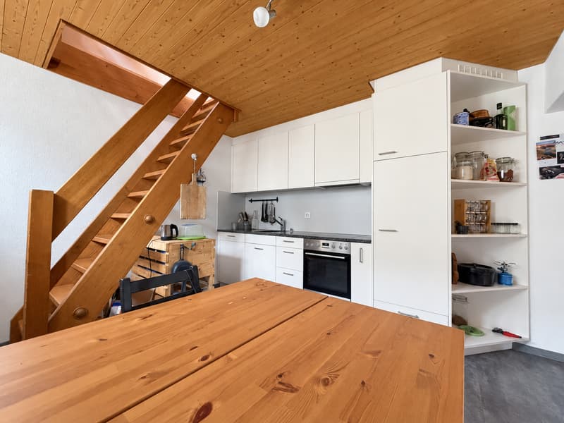 Charmante 3-Duplex-Dachwohnung (2)