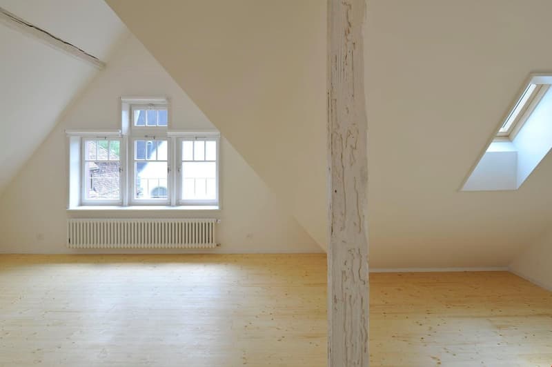 Appartement loft dans la Länggasse (4)