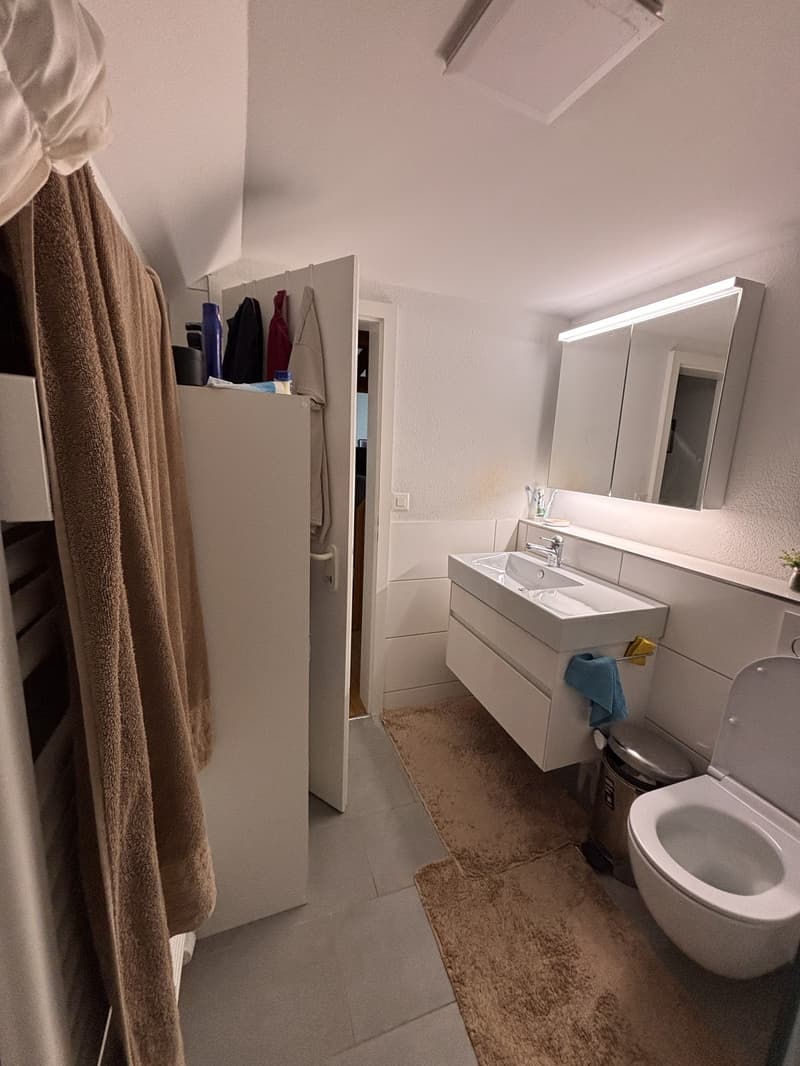 2 ½-Zimmerwohnung in Bern (6)