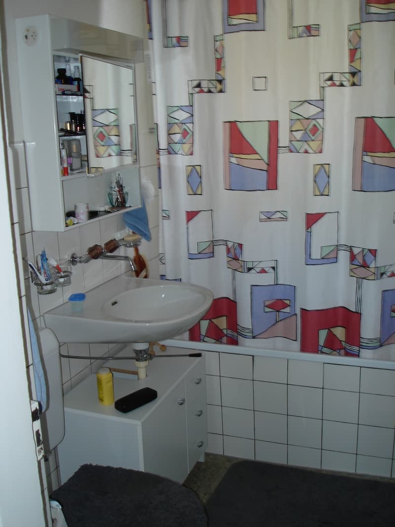 befristete Wohnung in Bern zu vermieten (2)