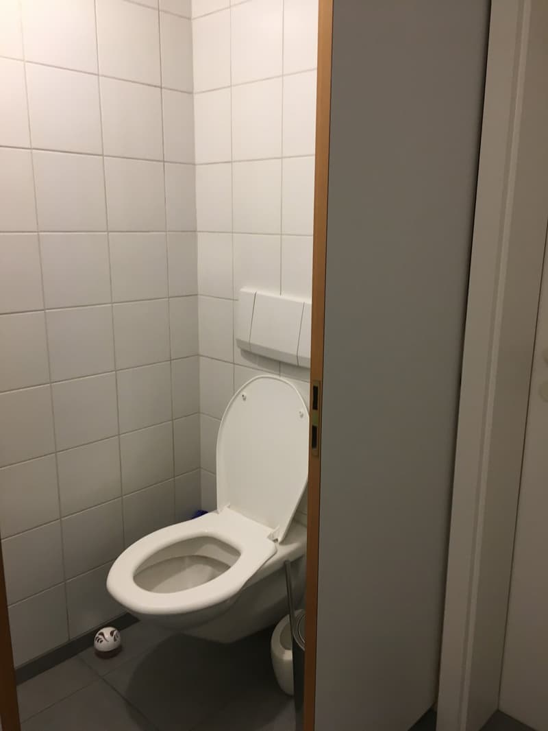 Office or practice rooms in the center of Bern (9)