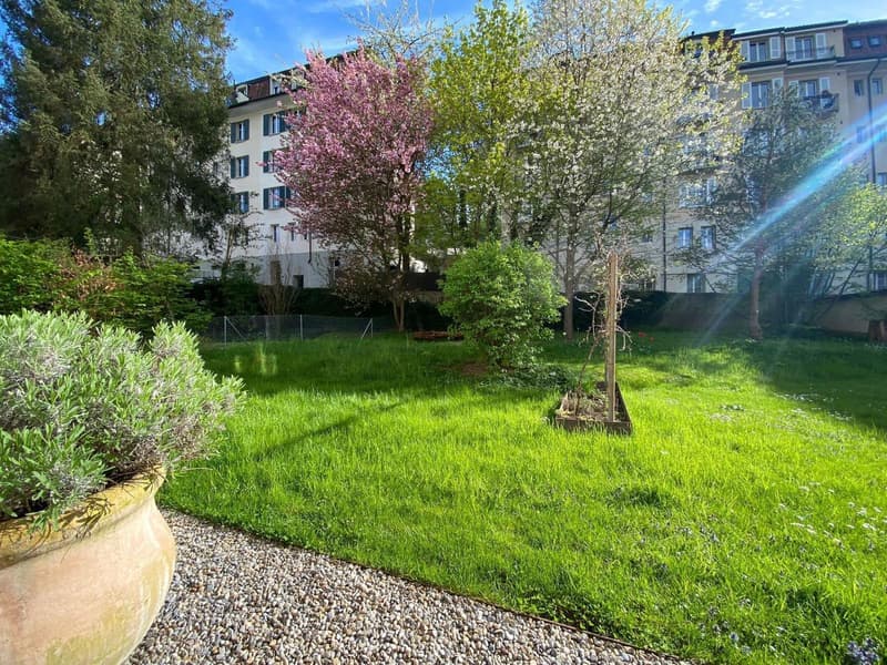 3 ½ Zimmer-Möblierte Wohnung, 3007 Bern (1)