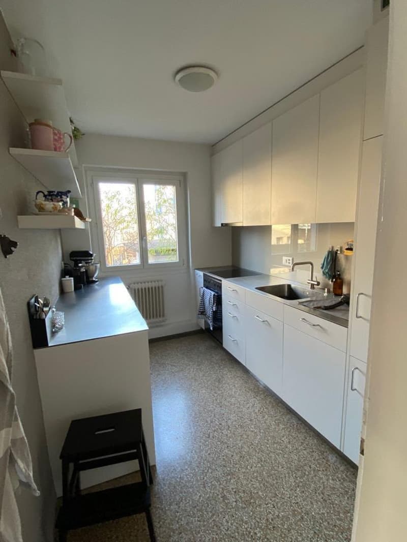 3 ½ Zimmer-Möblierte Wohnung, 3007 Bern (4)
