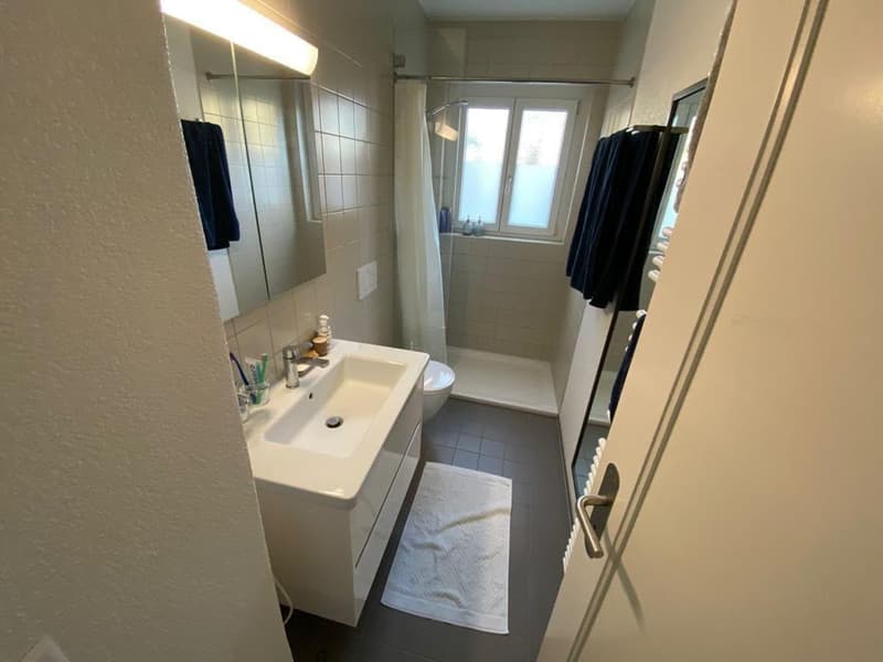 3 ½ Zimmer-Möblierte Wohnung, 3007 Bern (6)