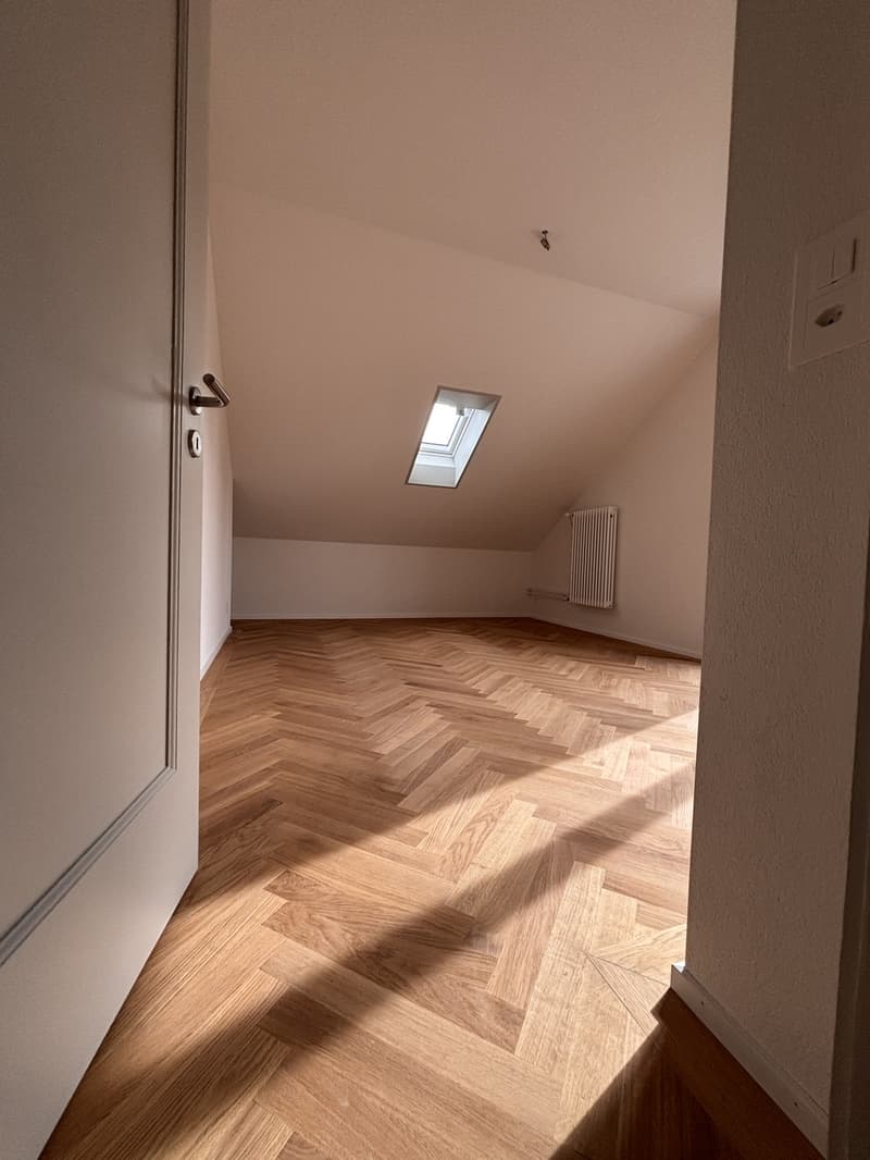 Erstvermietung nach Sanierung in Bern (6)