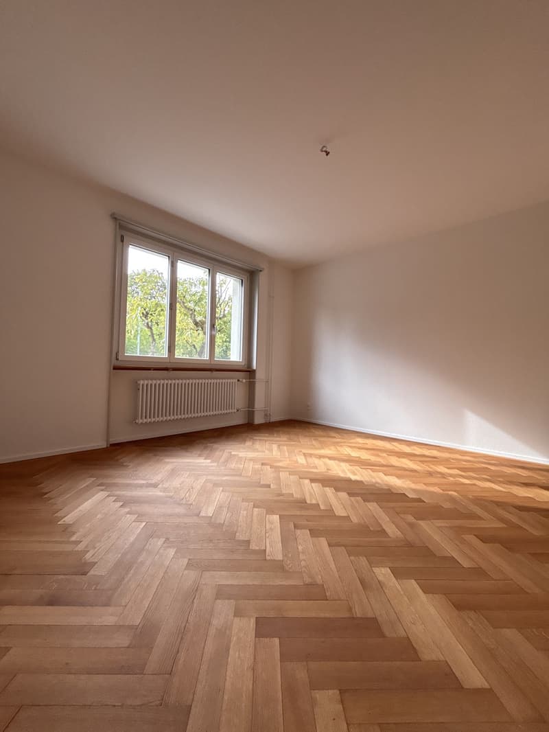 Erstvermietung nach Sanierung in Bern (12)