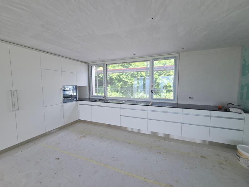 Appartamento attico esclusivo 1.5 locali con vista lago (1)