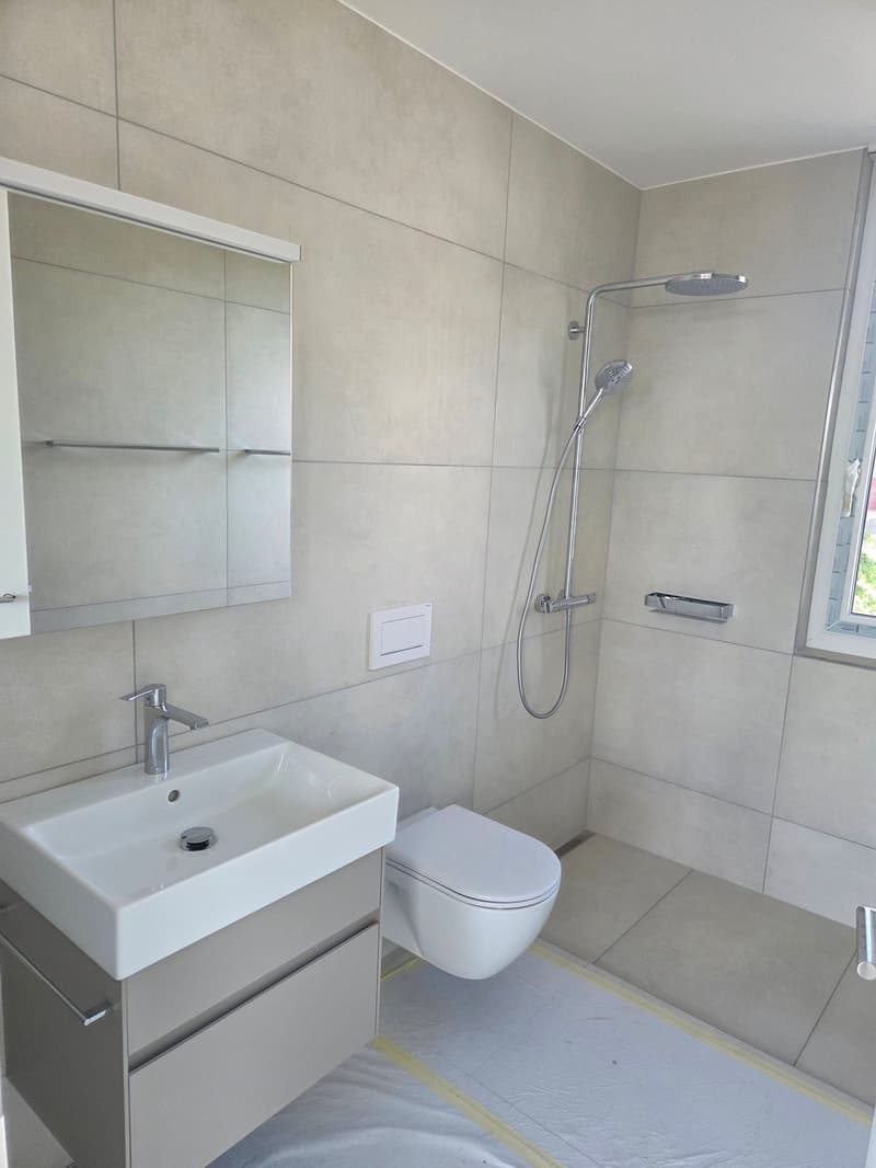 Appartamento attico esclusivo 1.5 locali con vista lago (6)