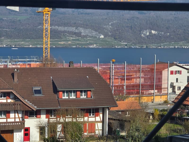 Appartamento attico esclusivo 4 locali con vista lago (7)