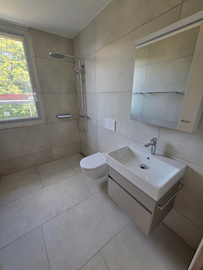 Appartamento attico esclusivo 4 locali con vista lago (10)