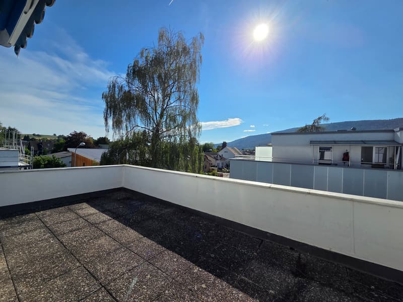 Attico da sogno con terrazza di 53 m2 in piccola casa multifamiliare (1)