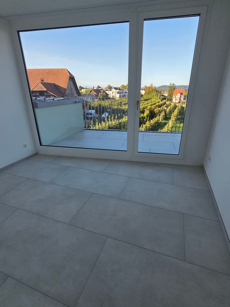 Exklusive 4-Zimmer-Attikawohnung mit Seesicht (13)