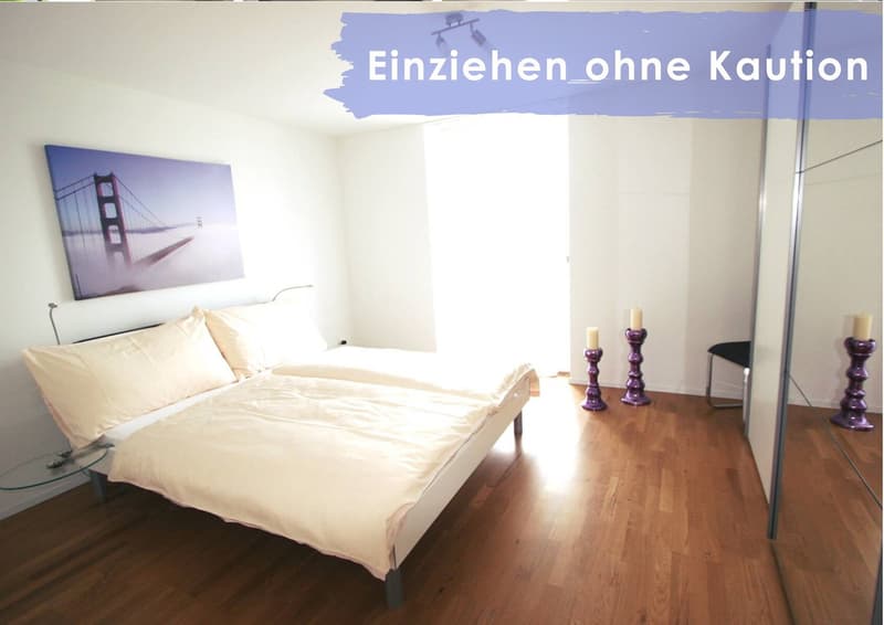 Appartement élégant recherche un nouveau locataire (5)