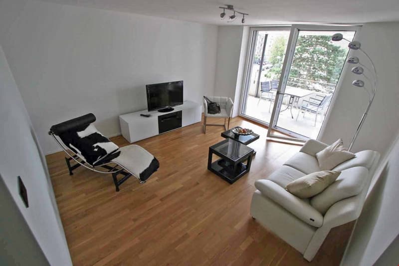 Appartement élégant recherche un nouveau locataire (2)