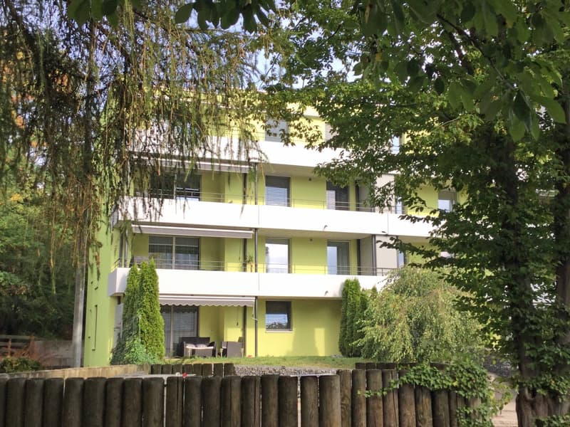Appartement élégant recherche un nouveau locataire (10)