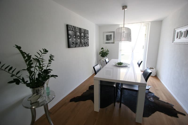 Appartement élégant recherche un nouveau locataire (3)