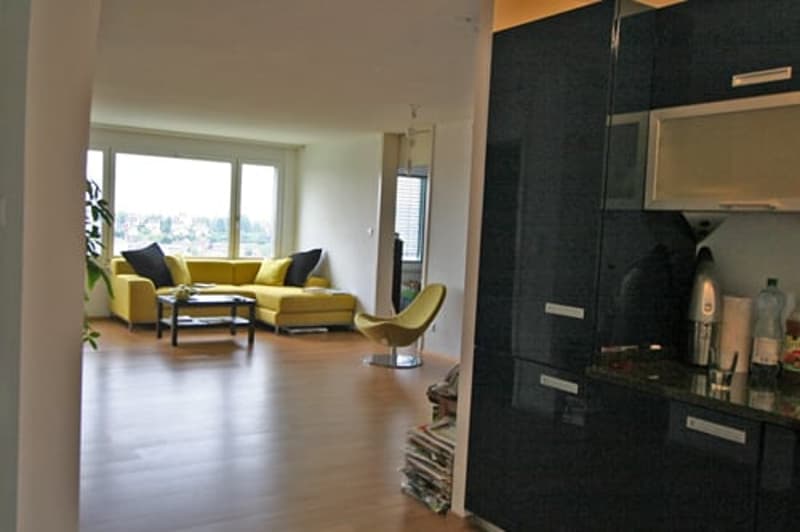 Delizioso appartamento aperto di 4 camere disponibile (3)