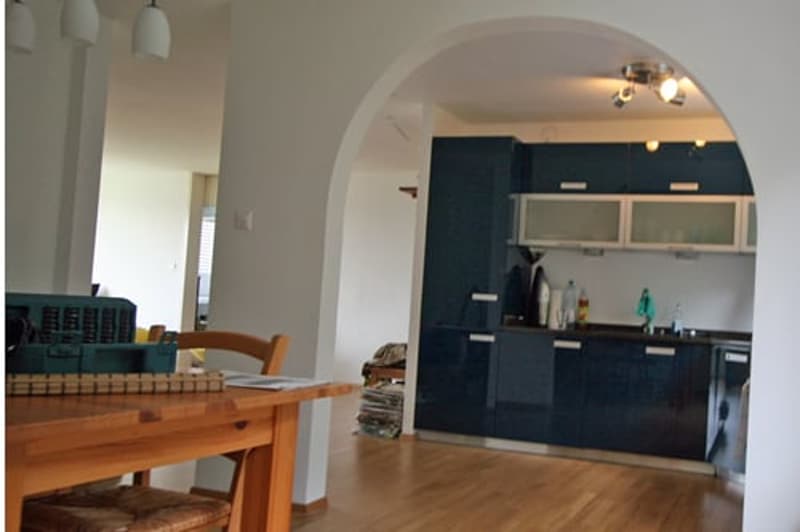 Delizioso appartamento aperto di 4 camere disponibile (2)