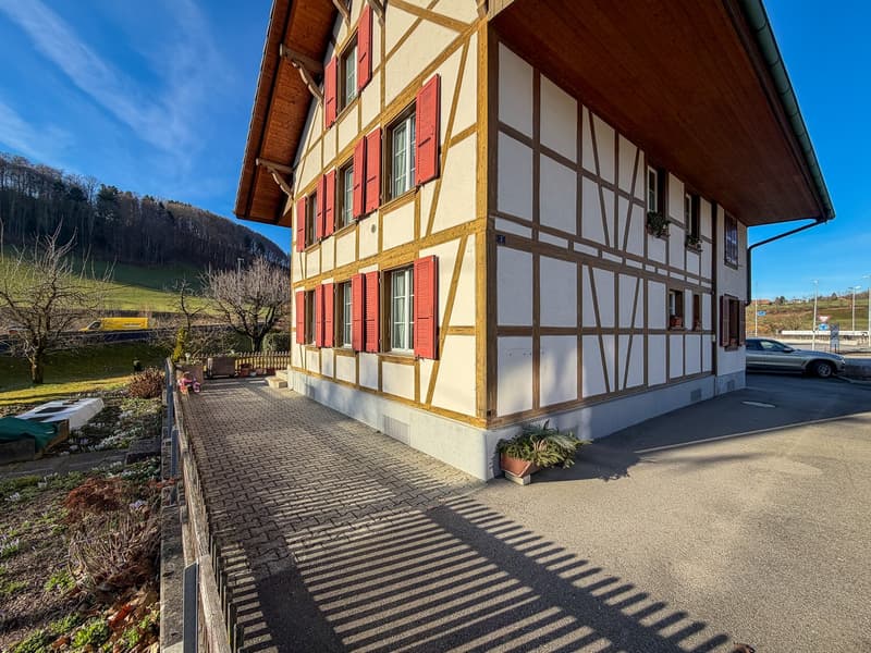 Two-family house on a large plot (9)