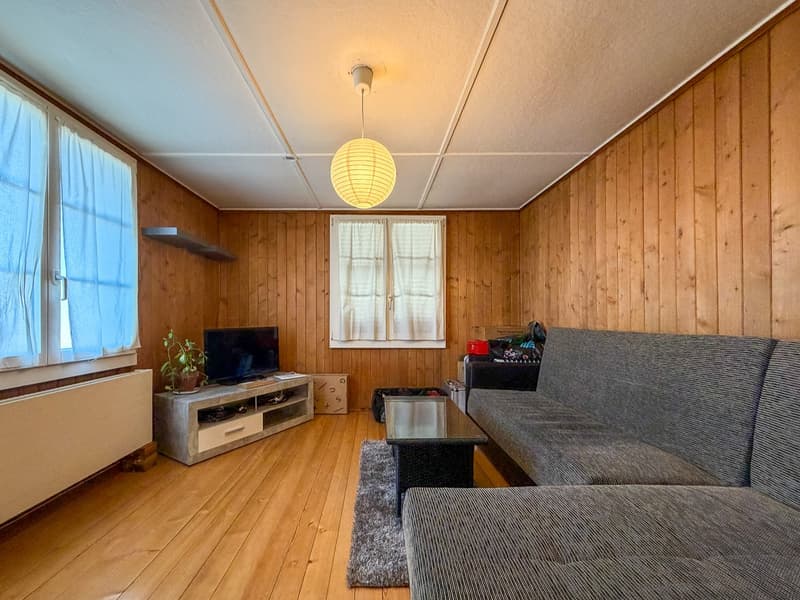 Two-family house on a large plot (39)